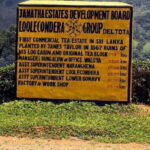 From Kandy: James Taylors Tea Tour (The Tale of Ceylon Tea) - Why This Tour Offers Great Value