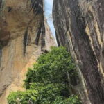 From Kandy: Pidurangala Rock and Minneriya National Park - Exploring Hiriwadunna Village