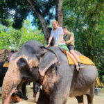 From Kandy : Pinnawala Elephant Orphanage & Ambuluwawa Tower - An In-Depth Look at the Tour Experience