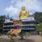 From Kandy: Polonnaruwa 2-Day Tour with farmers launch - What You Need to Know Before Booking