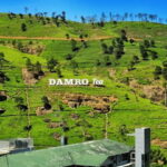 From Kandy: Tea Factory Tour with Ramboda Waterfall Visit - A Detailed Look at the Tour Experience