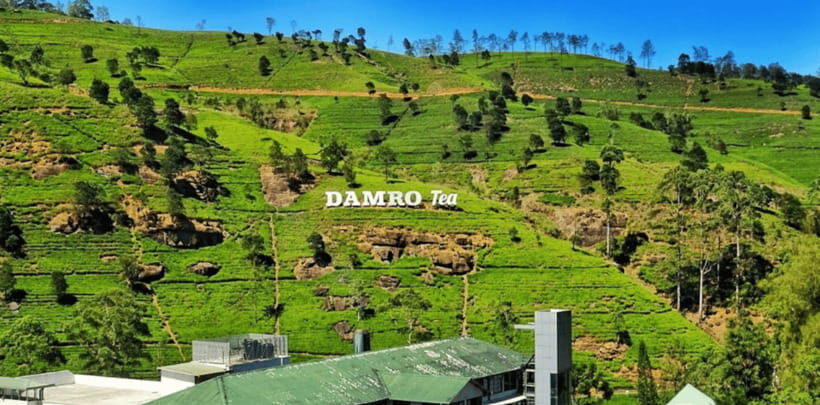 From Kandy: Tea Factory Tour with Ramboda Waterfall Visit - A Detailed Look at the Tour Experience