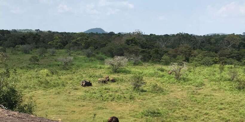 From Kandy to Sigiriya Day Tuk Tuk Trip - An In-Depth Look at the Kandy to Sigiriya Tuk Tuk Experience