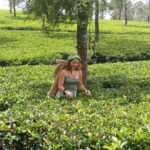 From Kandy to Sigiriya, Pinnawala Day Return Tour By Car - What Makes This Tour Stand Out?