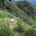 From kandy Train, and Pool Club Day Tour with Pickup - Authentic Experiences and Practical Insights