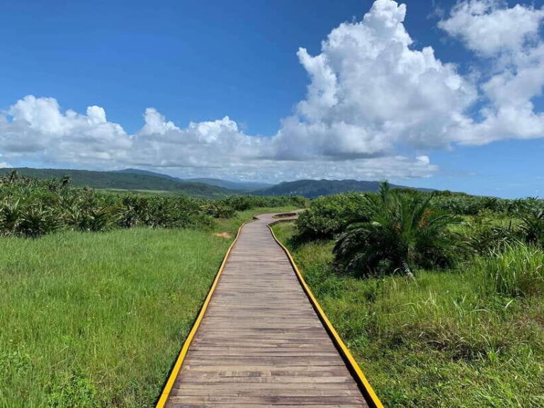 From Kaohsiung: Kenting & Ocean Coast Private Day Tour - Exploring the Highlights of the Kenting & Ocean Coast Tour