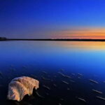 From Kashgar: 5-Day Silk Road Adventure with Accommodation - A Deep Dive into the 5-Day Silk Road Experience