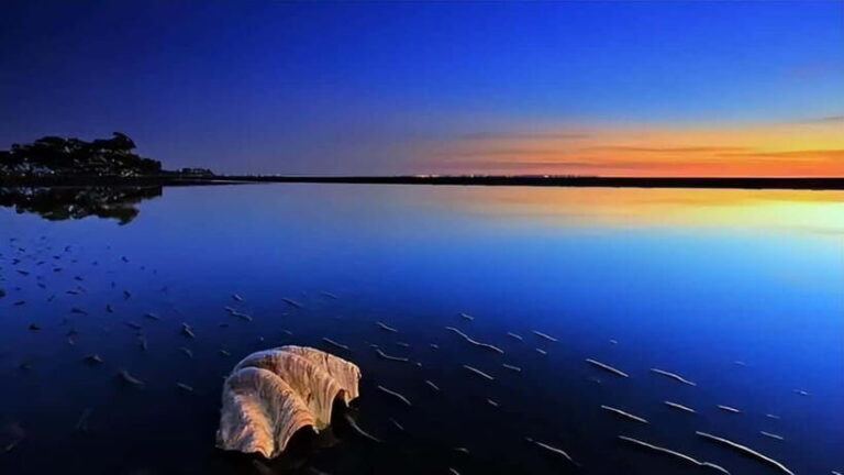 From Kashgar: 5-Day Silk Road Adventure with Accommodation - A Deep Dive into the 5-Day Silk Road Experience