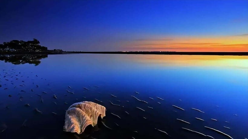 From Kashgar: 5-Day Silk Road Adventure with Accommodation - A Deep Dive into the 5-Day Silk Road Experience