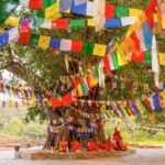 From Kathmandu: 1-Day Lumbini Tour by Airplane - A Detailed Look at the 1-Day Lumbini Tour