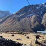From Kathmandu: 10-Day Langtang Valley Trek - What Makes This Trek a Good Value