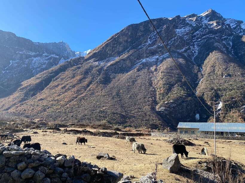 From Kathmandu: 10-Day Langtang Valley Trek - What Makes This Trek a Good Value