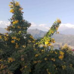 From Kathmandu: 10-Day Tour of Nepal with Accommodation - Who Is This Tour Best For?