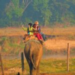 From Kathmandu: 3-Day Chitwan National Park & Elephants Tour - Value and Practical Insights