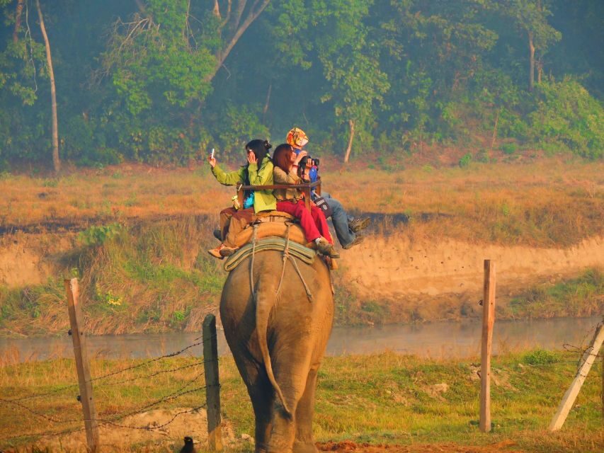 From Kathmandu: 3-Day Chitwan National Park & Elephants Tour - Value and Practical Insights