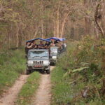 From Kathmandu: 3-Day Chitwan National Park Tour - A Detailed Look at the 3-Day Chitwan National Park Tour