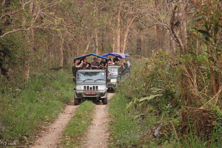 From Kathmandu: 3-Day Chitwan National Park Tour - A Detailed Look at the 3-Day Chitwan National Park Tour