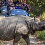 From Kathmandu: 4-Day Chitwan National Park Tour - What’s Included and What’s Not