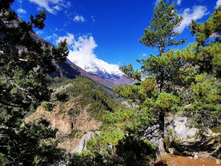 From Kathmandu Budget: 8 Day Private Annapurna Circuit Trek - Authentic Experiences and Practicalities