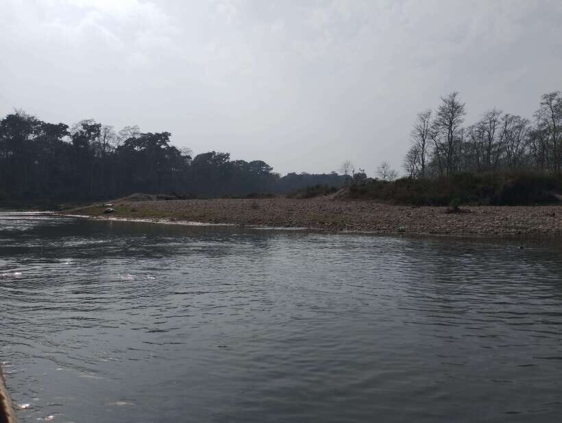 From Kathmandu or Pokhara: 4-Day Chitwan National Park Tour - The Practicalities: What’s Included and What’s Not