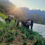 From Kathmandu: Patlekhet Permaculture Organic Farm Tour - Why This Tour Matters for Travelers