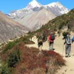 From Kathmandu/Pokhara: 9-Day Annapurna Circuit Trek - What Makes This Trek Worth It?