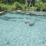From Khao Lak : Cheow Lan Lake & Nam Rad Emerald Pool - Who Will Love This Tour?