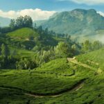 From Kochi:- 03 Days Munnar with Periyar Wildlife Tour - A Well-Rounded 3-Day Kerala Journey