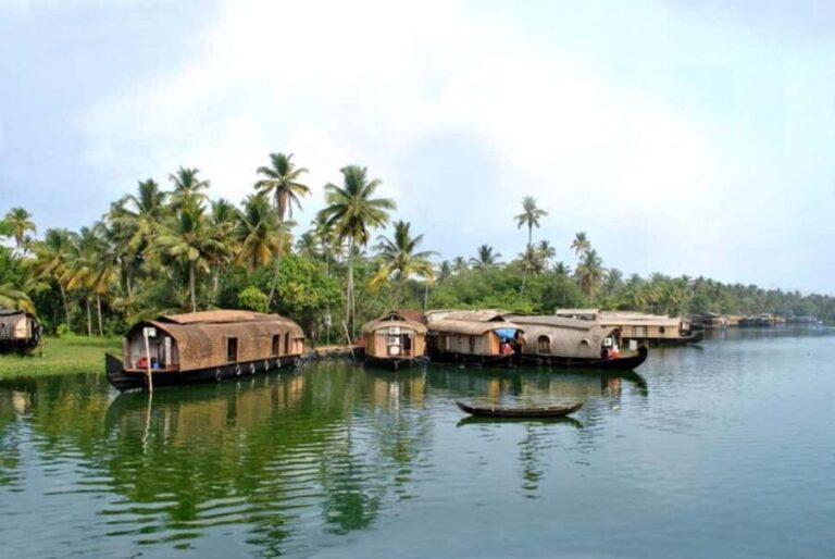From Kochi: Alleppey Houseboat Day Cruise - What Could Be Better?