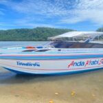 From Krabi: Phi Phi Island Full-Day Private Speed Boat Tour - Key Points