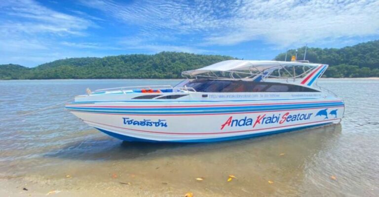 From Krabi: Phi Phi Island Full-Day Private Speed Boat Tour - Key Points