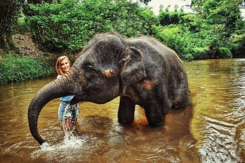 From Kuala Lumpur: Elephant Sanctuary Guided Tour - A Deep Dive into the Experience