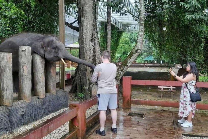 From Kuala Lumpur: Kuala Gandah & Batu Caves Day Trip - What the Tour Includes and What to Consider