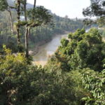 From Kuala Lumpur: Taman Negara National Park Trek Day Tour - What’s Included and What to Keep in Mind