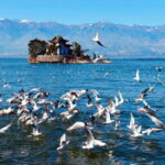 From Kunming: 9-Day Yunnan Highlights Tour with Bullet Train - What Makes This Tour Stand Out?