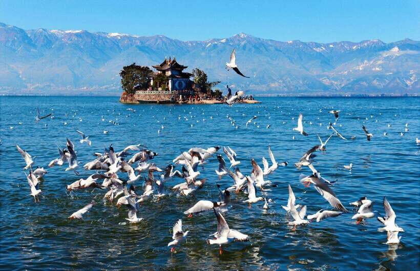 From Kunming: 9-Day Yunnan Highlights Tour with Bullet Train - What Makes This Tour Stand Out?