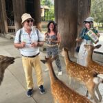 From Kyoto: Nara Guided Morning Tour - The Experience in Context: What Makes It Stand Out?