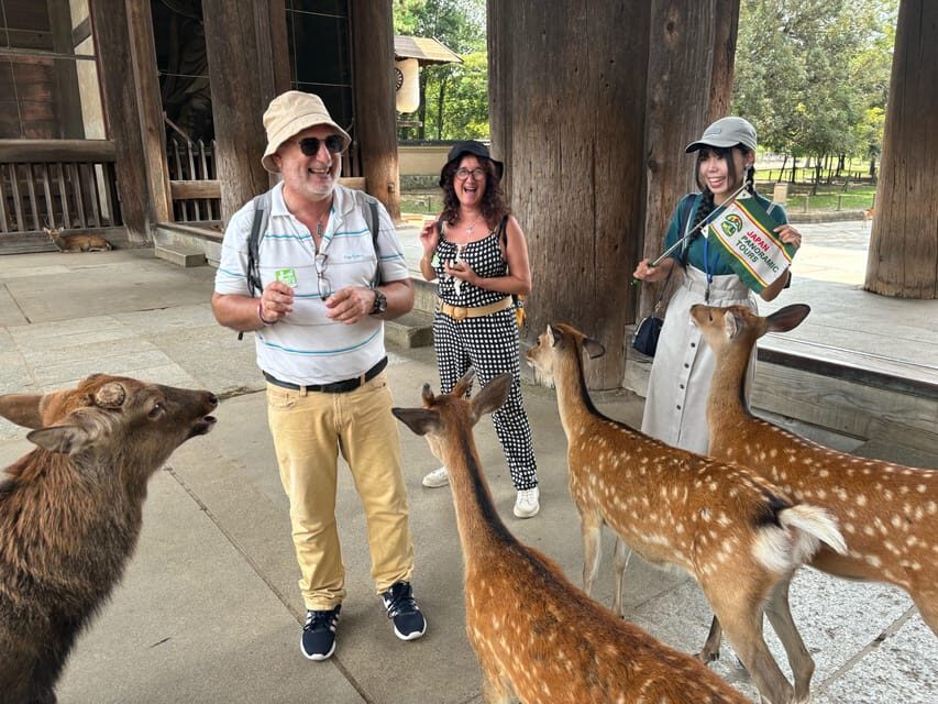 From Kyoto: Nara Guided Morning Tour - The Experience in Context: What Makes It Stand Out?