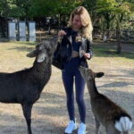 From Kyoto/Osaka: Nara Private Tour with Guide and Vehicle - An In-Depth Look at the Nara Private Tour