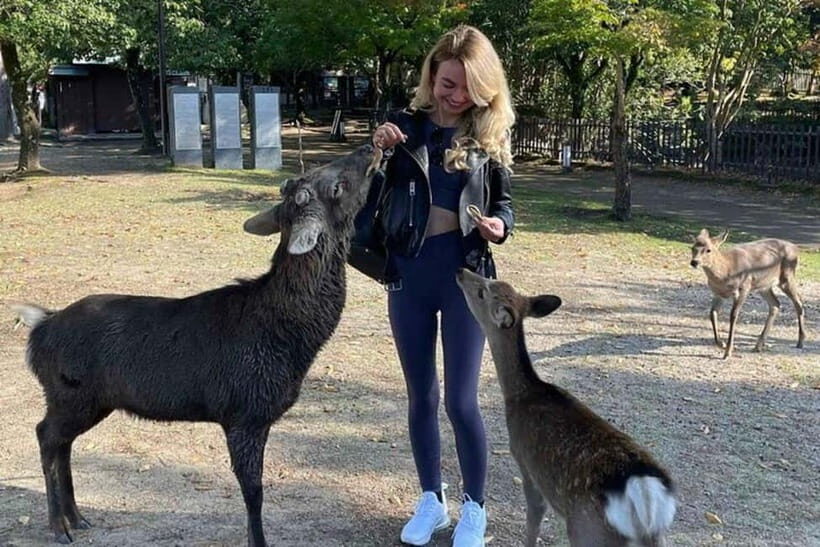 From Kyoto/Osaka: Nara Private Tour with Guide and Vehicle - An In-Depth Look at the Nara Private Tour