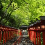 From Kyoto:Day Tour to Kifune Shrine+Kuruma+Sanzen-in Temple - Who Will Love This Tour?