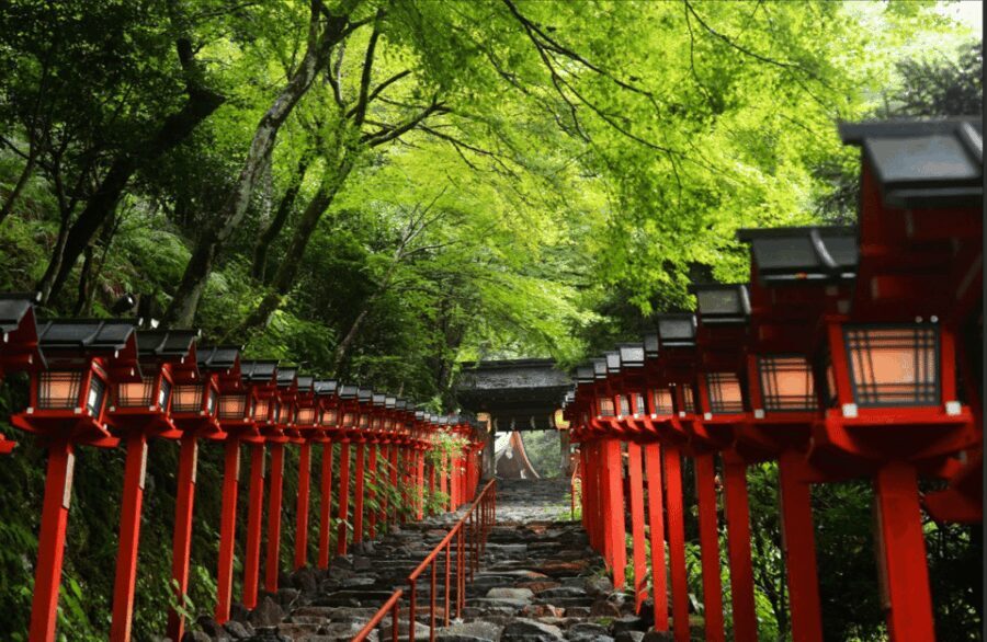 From Kyoto:Day Tour to Kifune Shrine+Kuruma+Sanzen-in Temple - Who Will Love This Tour?