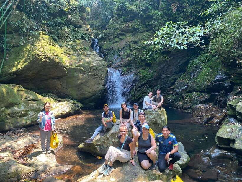 From Lang Co Beach/ Chan May Port: Bach Ma Trekking Tour - Practical Details and Value