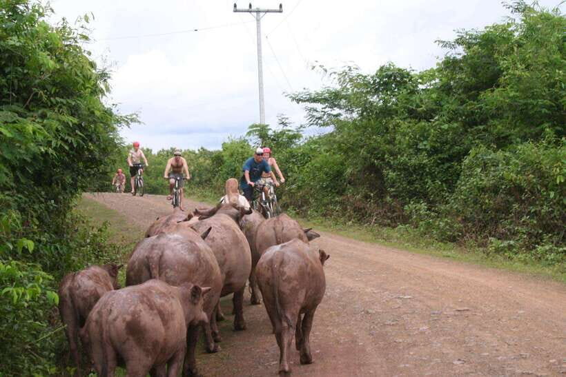 From Luang Prabang: Guided Mountain Bike Tour with Lunch - FAQ
