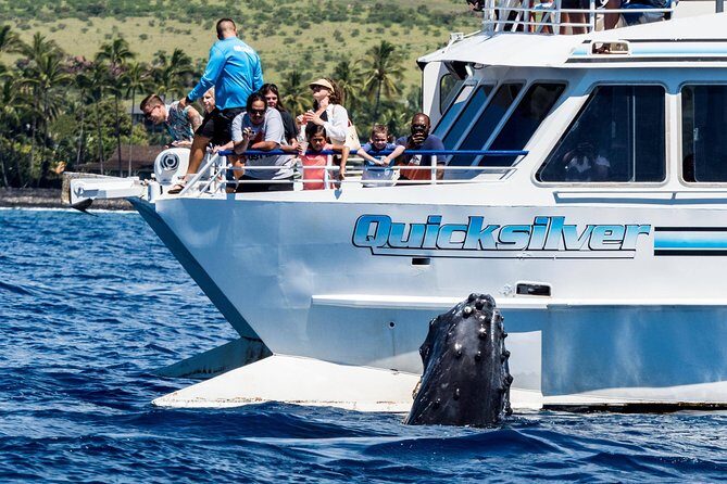 From Maalaea: Whale Watching Tour Aboard the Quicksilver - Final Thoughts