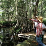 From Mérida: Ria Celestun Biosphere Reserve Tour - Authentic Experiences and Practical Tips