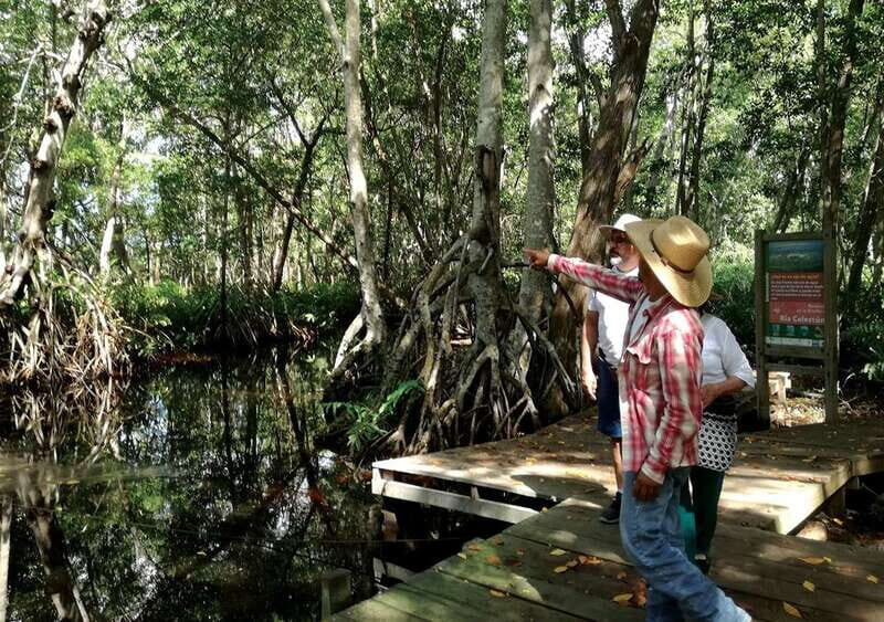 From Mérida: Ria Celestun Biosphere Reserve Tour - Authentic Experiences and Practical Tips