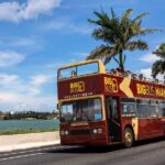 From Miami: Open-Top Bus Tour, Bay Cruise, & Everglades Adventure - Authentic Insights from Travelers