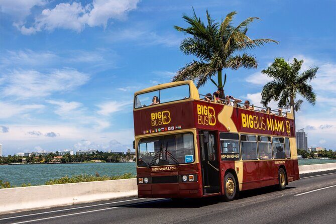 From Miami: Open-Top Bus Tour, Bay Cruise, & Everglades Adventure - Authentic Insights from Travelers