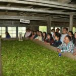 From Munnar: Tea Factory, Plantation, and National Park Tour - Practicalities and What to Expect